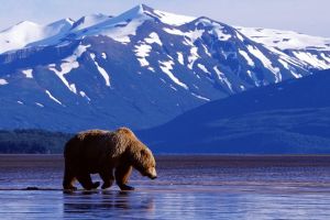 OTR Alaska Landscape10