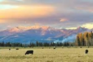 OTR Montana Landscape04
